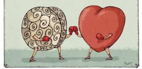 reasoning mind 2 - illustration brain boxing heart